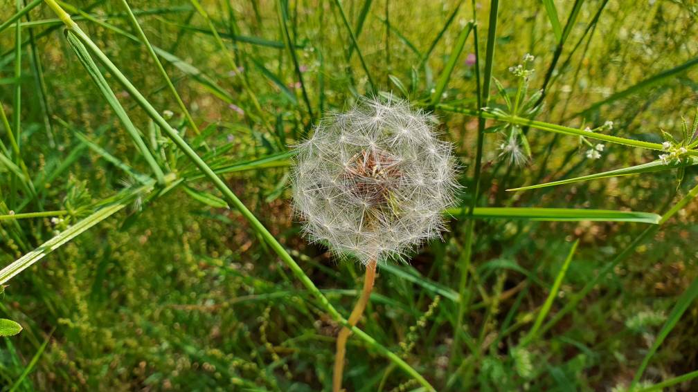 Name:  20200531_093951.jpg
Views: 174
Size:  96.4 KB