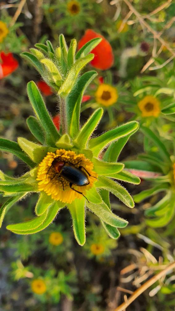 Name:  IMG_20200526_112243.jpg
Views: 200
Size:  77.4 KB