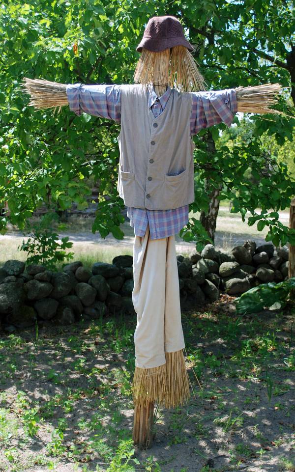 Name:  1200px-Wdzydze_strach.jpg
Views: 401
Size:  134.6 KB