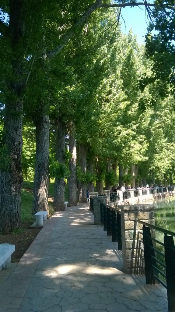 Name:  ifrane.jpg
Views: 65
Size:  123.5 KB