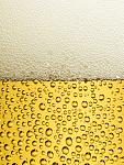 Wallpapers room com   take a beer by nucu 1920x1200
